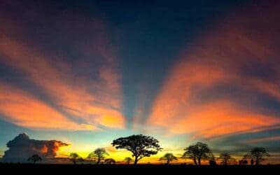 Echoing His Compassion and Empathy