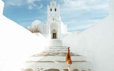 The Greatest Gift of All