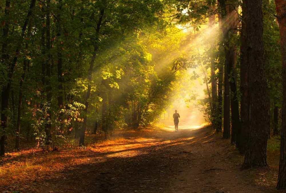 Transforming Faith and Prayer