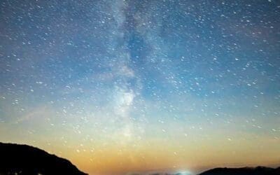 Bearing with Each Other