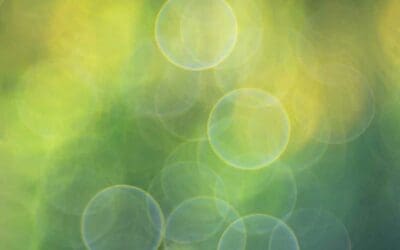 Shine Jesus’s Light