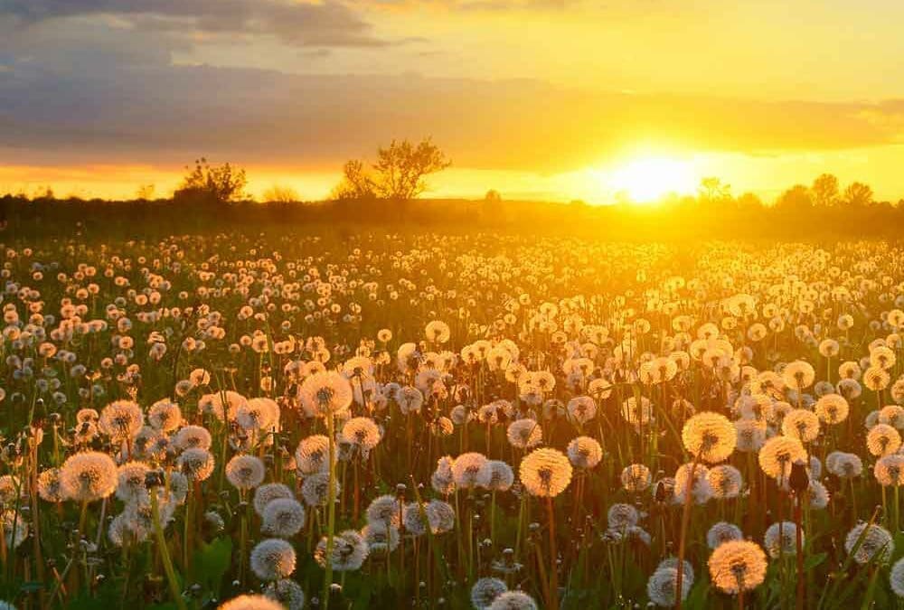 Walking in Assurance