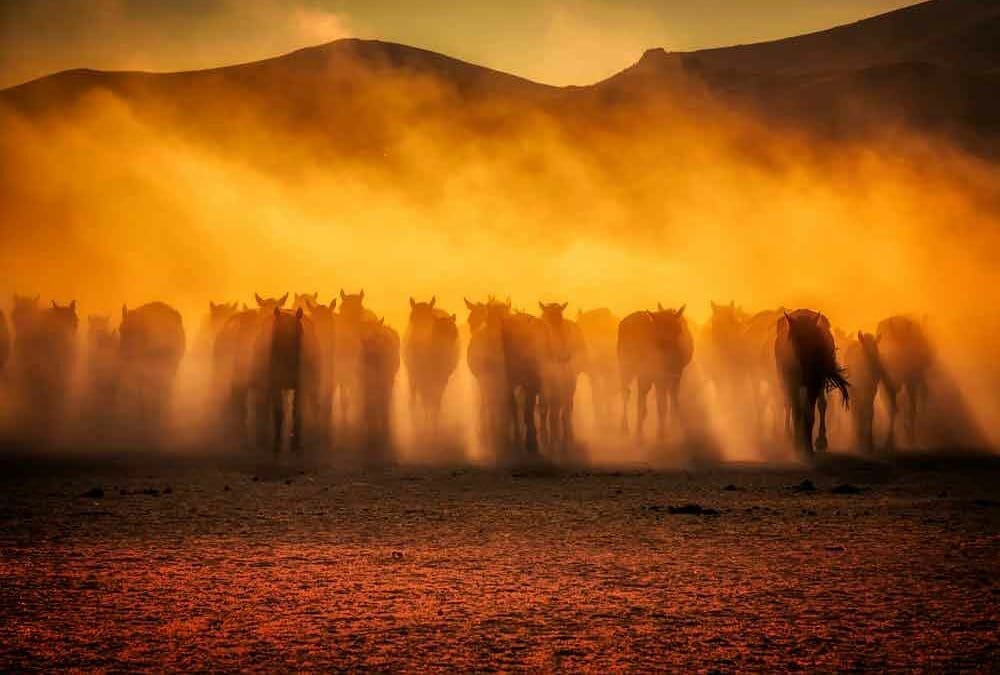 Gratitude Stops Drifting