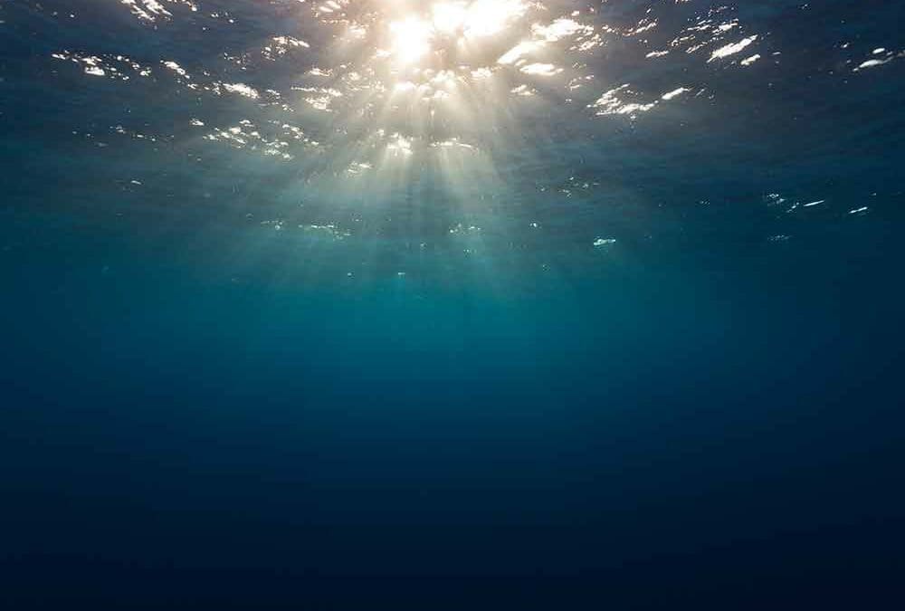 Treasured, Loved, Chosen.