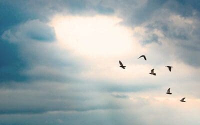 Crossing the Bridge: From Faith (Step 3) to Courage (Step 4)