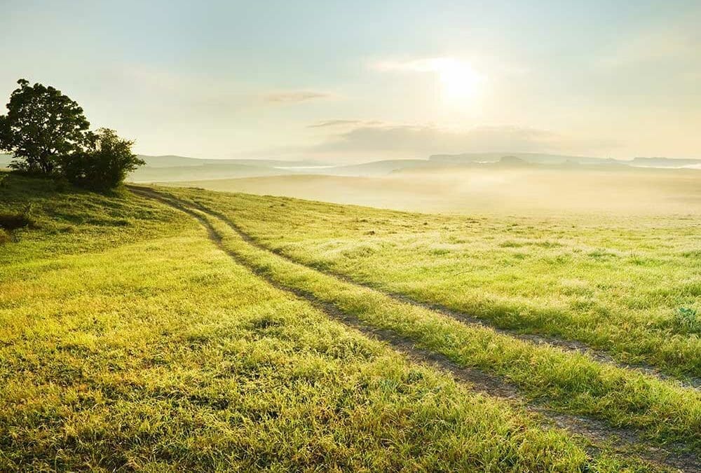 Rest not on Your Own Wisdom