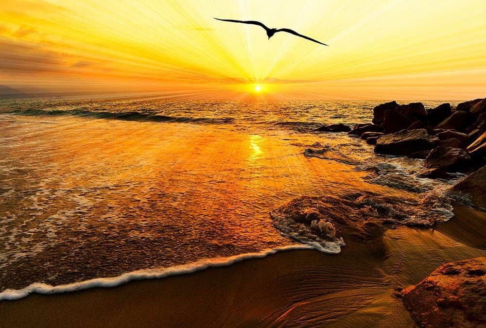 Serve and Speak with Strength to His Glory