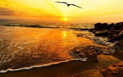 Serve and Speak with Strength to His Glory