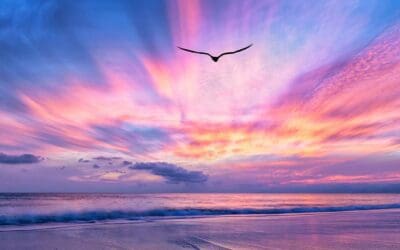 Comfort in His Extravagant Love