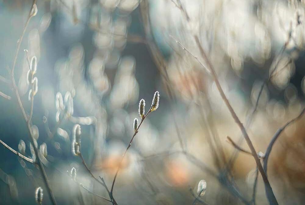 Significance of Your Suffering and Love