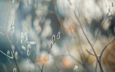 Significance of Your Suffering and Love