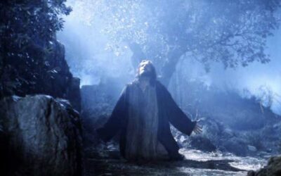 Step 3 (Faith) Turning Our Will Over